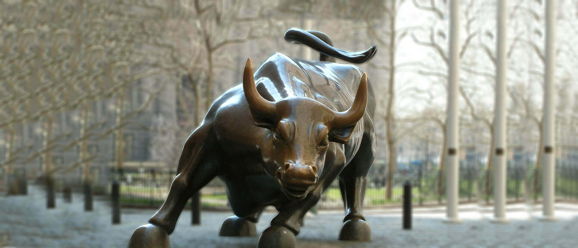 bull stock market - BFO Wealth